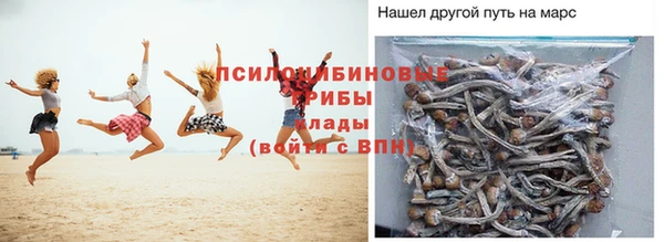 ПСИЛОЦИБИНОВЫЕ ГРИБЫ Елизово