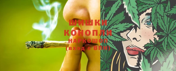 ПСИЛОЦИБИНОВЫЕ ГРИБЫ Елизово