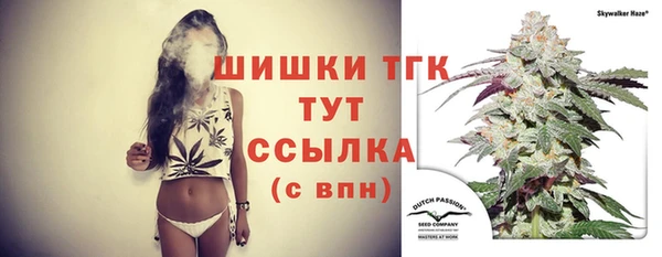 ПСИЛОЦИБИНОВЫЕ ГРИБЫ Елизово
