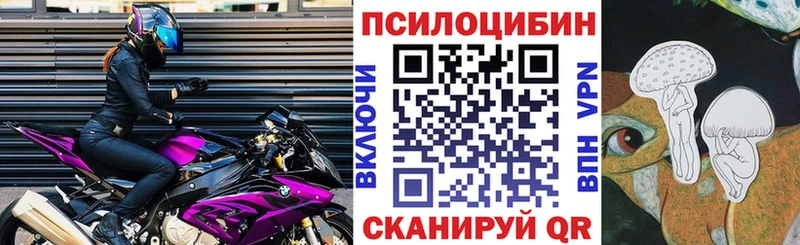 Псилоцибиновые грибы GOLDEN TEACHER  Купить  Елизаветинская 